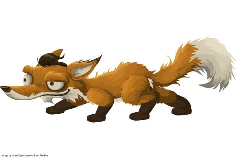 political animal fox