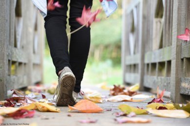 person walking across a bridge on autumn leaves