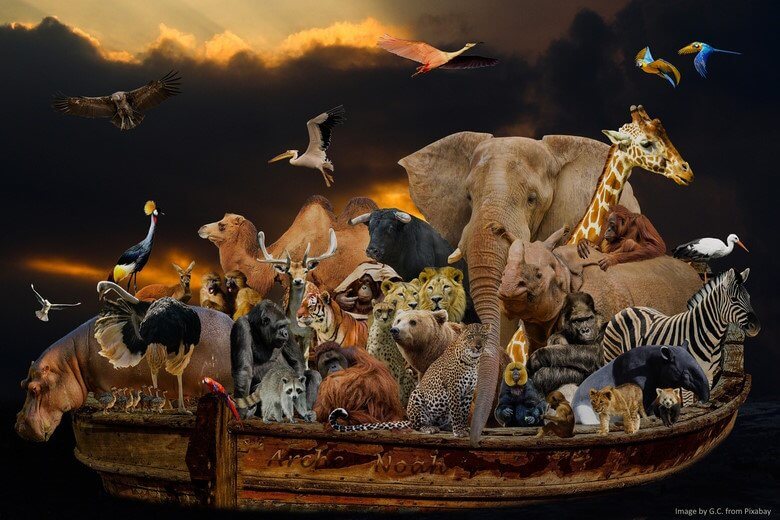 An illustration of the animals on noah's ark