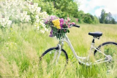 bicycle with flowers in a basket in a summer meadow